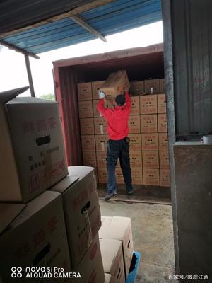 贛北地區裝卸搬運工日薪現狀與影響因素探析